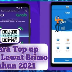 Cara Top Up OVO Lewat Brimo Terbaru Paling Mudah