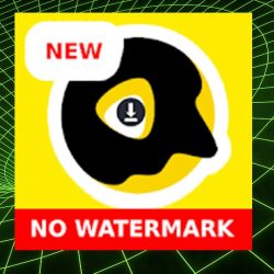 Download Snack Video Tanpa Watermark, Trik Terbaru Mudah dan Simple