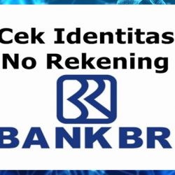 Cek Identitas Lewat No Rekening Bank BRI