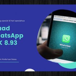 Fouad WhatsApp 8.95 Apk Download Gratis Terbaru