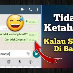 Cara Mematikan Centang Biru di WhatsApp Dengan Mudah