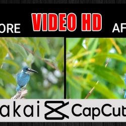 Cara Menjernihkan Video di Capcut Menjadi Kualitas HD Dengan Mudah
