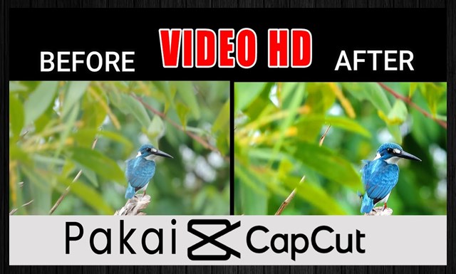 Cara Menjernihkan Video di Capcut Menjadi Kualitas HD Dengan Mudah