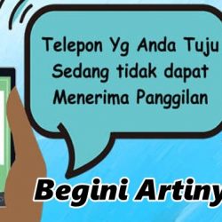 Nomor yang Anda Tuju Sedang Tidak Dapat Menerima Panggilan, Begini Artinya