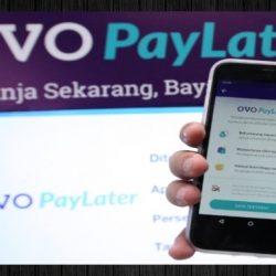 OVO PayLater Tidak Muncul, Begini Cara mengatasinya Agar Tidak di Bekukan