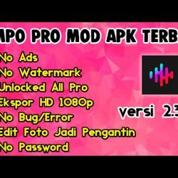 Aplikasi Tempo Pengantin Mod Apk, Berikut Link Downloadnya