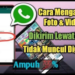 Cara Mengatasi Foto WhatsApp Tidak Muncul di Galeri Untuk Semua Tipe Hp