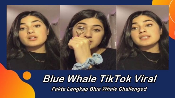 Blue Whale TikTok Viral, Berikut Fakta Lengkap Blue Whale Challenged