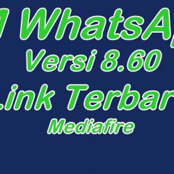 FM WhatsApp 8.60 Download Dengan Link Terbaru