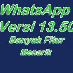 GB WhatsApp Pro V 13.50 Download Apk Link Terbaru