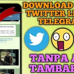 Cara Download Video di Twitter Lewat Telegram