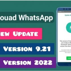 Download Fouad WhatsApp versi 9.21 Berikut Linknya