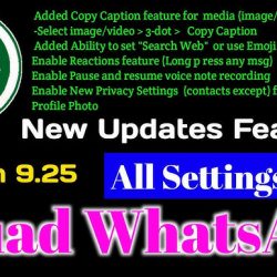 Download Fouad WhatsApp Versi 9.25 Berikut Link Update Terbaru