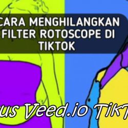 Veed.io Tiktok Penghilang Filter Rotoscope, Apa Benar Work?