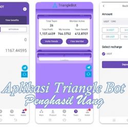 Aplikasi Triangle Bot Penghasil Uang Apa Aman dan Membayar?