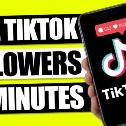 Freer.in TikTok 2022 Auto Like & Tambah Followers Gratis