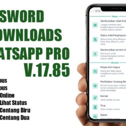 Download WA GB Pro 17.85 Dapatkan Berbagai Tema Gratis dan Anti Hapus Pesan