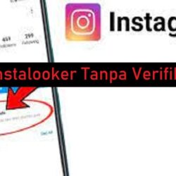 InstaLooker: Cara Melihat Akun Instagram Private Tanpa Harus Verifikasi