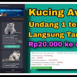 Kucing Awan Apk Login (Blockdog8.com) Penghasil Uang Membayar Apa Penipuan?
