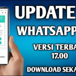 OG WhatsApp Apk Pro (OG WA) - Aplikasi Modifikasi WhatsApp Update v17.36 Terbaik