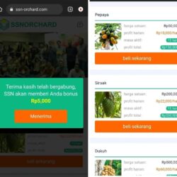 SSN-ORCHARD.com Bonus 5rb: Analisis Legalitas, Kehandalan, dan Potensi Penipuan