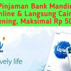 Cara Mengajukan Pinjaman Uang di Livin Mandiri Terbaru 2023 Berikut Panduan Lengkap