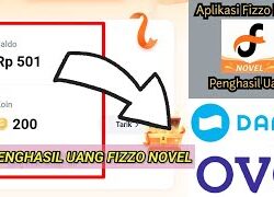 Apakah Fizzo Novel Boros Kuota? Begini Faktanya!