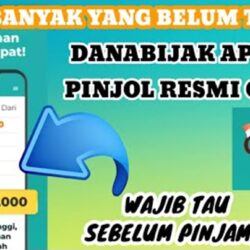 Review DanaBijak Pinjaman Online Aman dan Terpercaya? Cek Disini