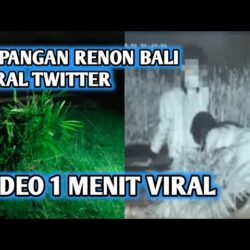 Video Viral di Lapangan Renon Bali Cek Link Twitter Terbaru