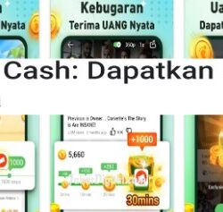 Gogo Cash APK Penghasil Uang Apa Aman Membayar Atau Penipuan?