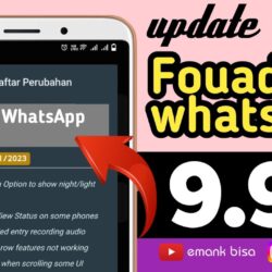 Fouad WhatsApp V 9.93 Apk Pro: Pembaruan Terkini 2023 dan Panduan Unduh Resmi