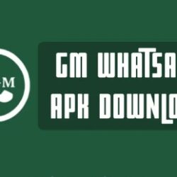 GM WhatsApp Mod Link Download Berikut Kelebihan dan Kekurangannya