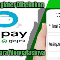 Mengapa Gopaylater Diblokir? Begini Sebab & Cara Mengaktifkannya