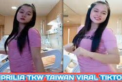 Video Aprilia TKW Taiwan Menjadi Viral di TikTok, Berikut Keterangan dari Pemilik Channel YouTube God Smile