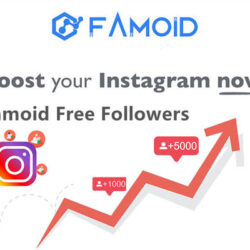Famoid Free Instagram Followers Sebagai Penambah Followers Apakah Aman?
