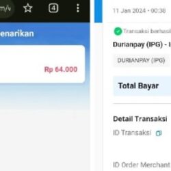 Intoyotamirai.com: Investasi Cerdas atau Risiko Finansial?