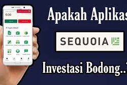 Sequoia Penghasil Uang Berikut Review Keuntungan dan Risiko Investasi