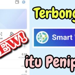 Smart Wallet Apk Apakah Aman Membayar Atau Ada Potensi Penipuan