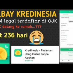 Apakah Kredinesia Sebar Data Pengguna? Begini Faktanya