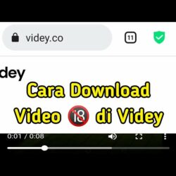 Cara Menggunakan Videy.co untuk Mengunduh dan Mengunggah Video Viral