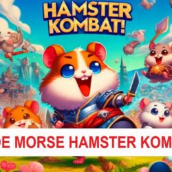 Kode Morse Hamster Kombat Hari Ini Juli 2024 Berikut Bocoran 3 Kartu Combo