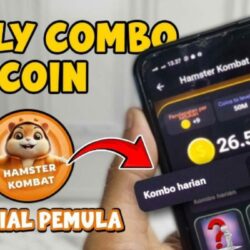 Kombinasi Harian Hamster Kombat 12 - 13 Juli 2024 Dapatkan 5 Juta Koin Gratis