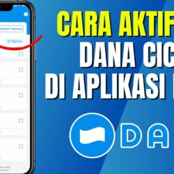 Panduan Lengkap Cara Mengaktifkan DANA Cicil Paylater Premium