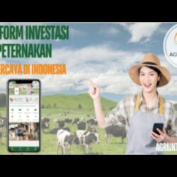 Aplikasi Agriuntung Penghasil Uang Apa Aman Membayar Atau Penipuan?