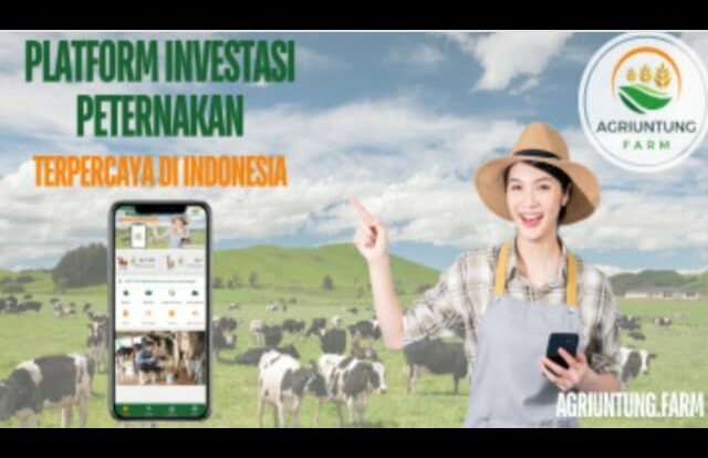 Aplikasi Agriuntung Penghasil Uang Apa Aman Membayar Atau Penipuan?