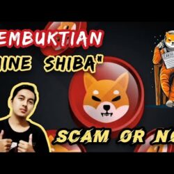 Aplikasi Shiba Miner.Online Penghasil Uang Apakah Investasi Aman Atau Penipuan?