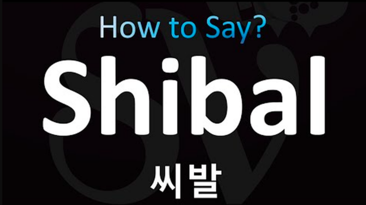 Arti Kata Umpatan dalam Bahasa Korea: “Shibal” dan Kata Kasar Lainnya