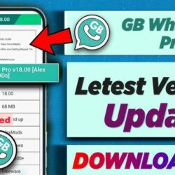 GBWhatsApp v18.00 APK Anti Banned Terbaru 2024 Berikut Link Download