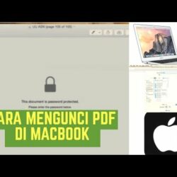 Panduan Lengkap Membuat dan Mengamankan File PDF di MacBook