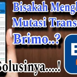 Panduan Lengkap Menghapus Mutasi Transaksi di BRImo Solusi Terbaik untuk Privasi Keuangan Anda